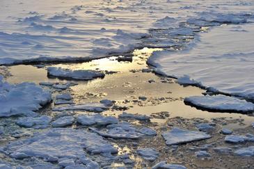 Antarctica, Ross Sea © Etienne Pierart